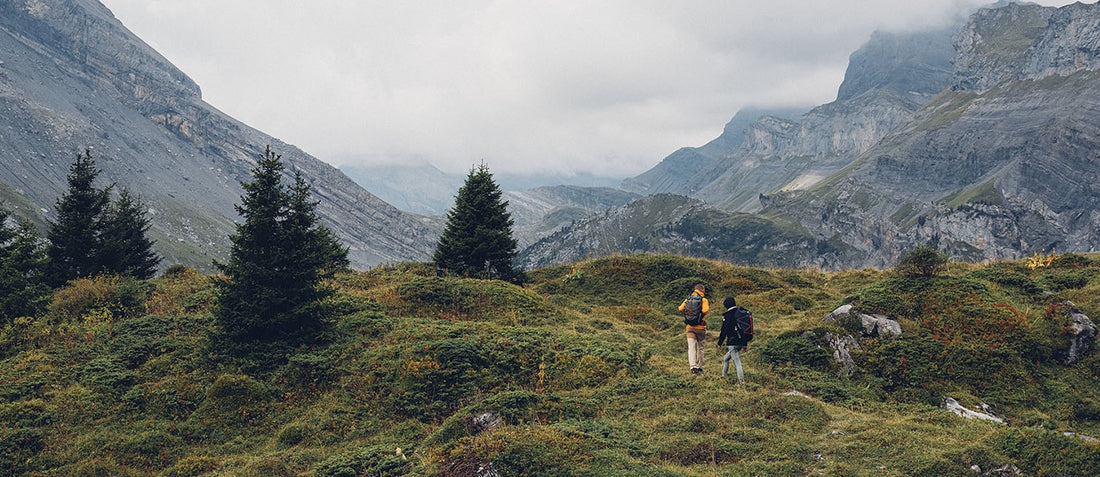 Two hikers walk through alpine shrubs with clouds and mountains in the background. 