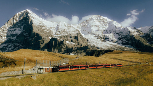 The Jungfraubahn passes through yellow fields in front of the Jungfraujoch